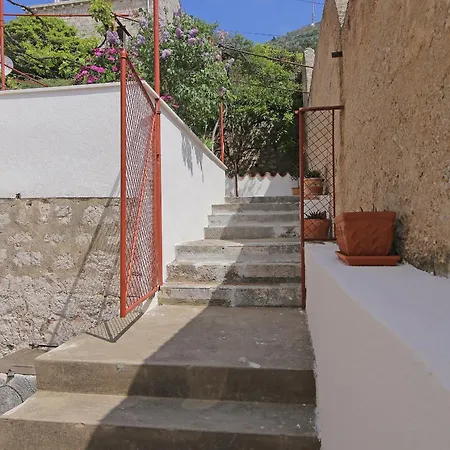 Apartman Vicina Summer 2